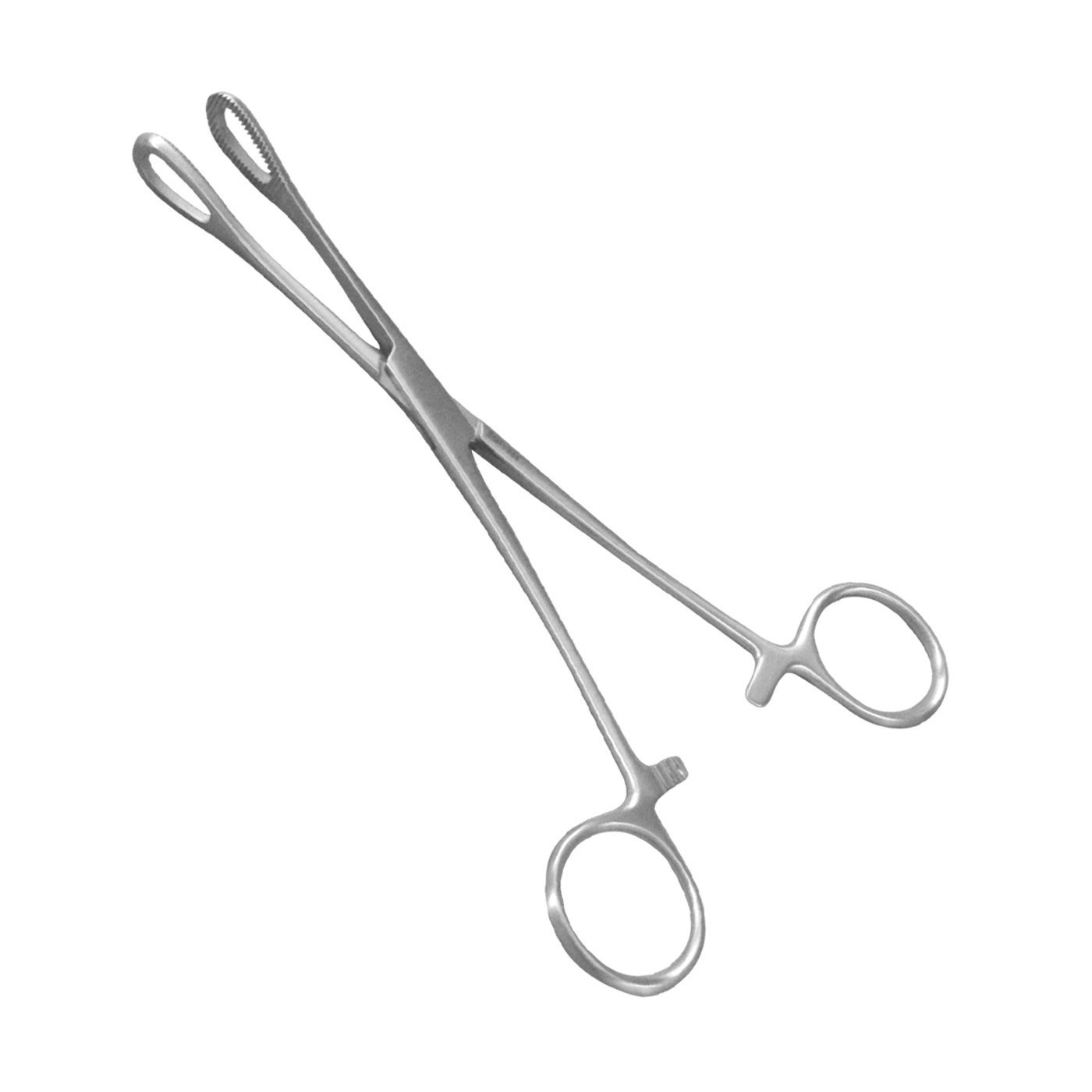 คีมจับผ้าก๊อซ sponge holding forcep ตรง 25 cm./10″ เยอรมัน (Starmed)