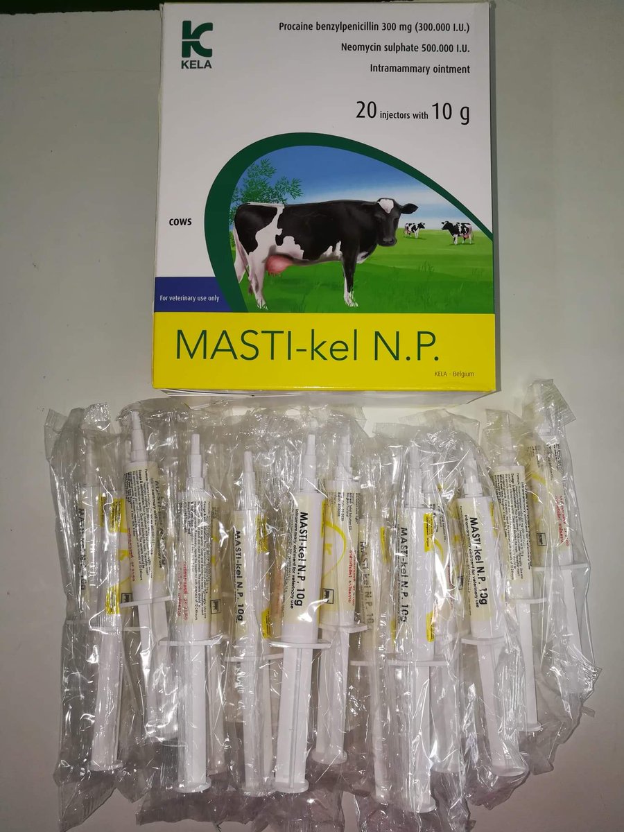MASTI-kel N.P.