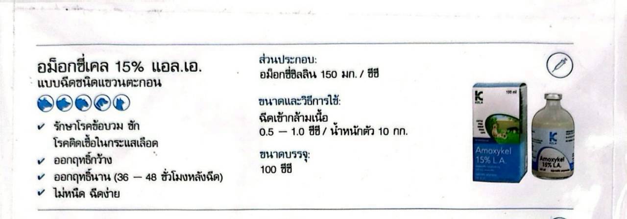 อม็อกซี่เคล 15% แอล.เอ.