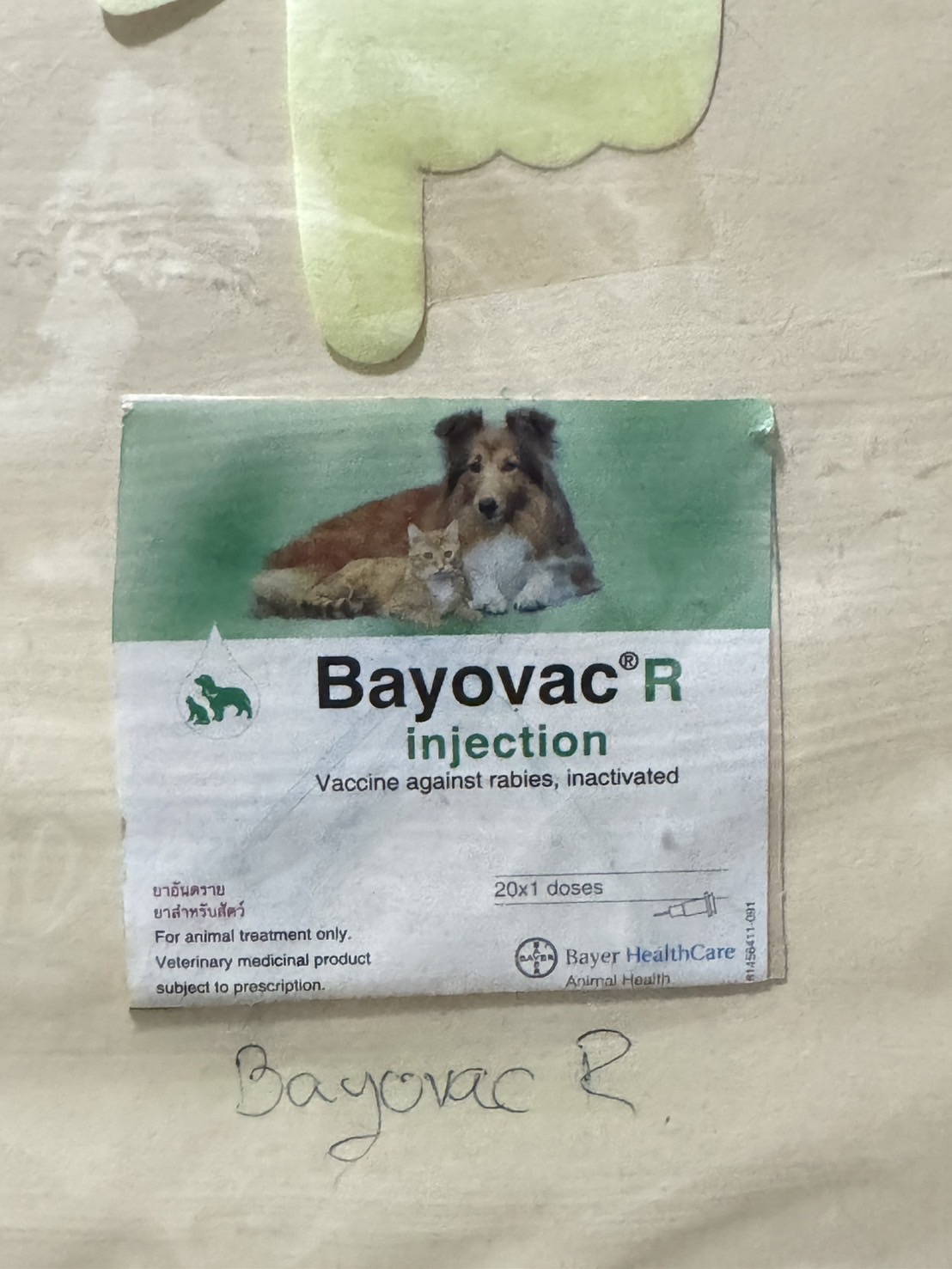 Bayovac R