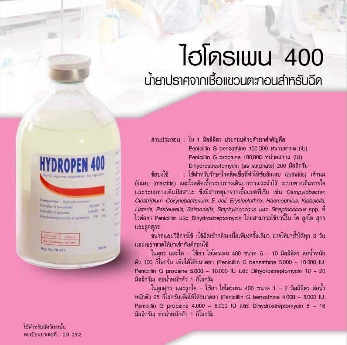ไฮโดรเพน 400