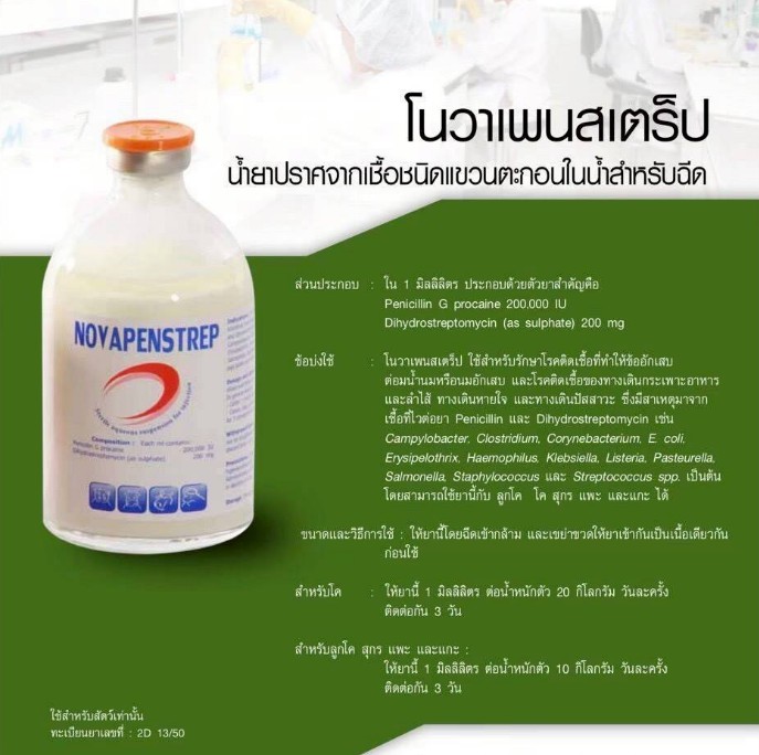 โนวาเพนสเตร็ป