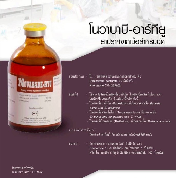 โนวาบาบี