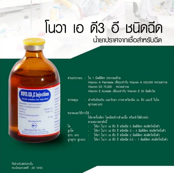 โนวา เอ ดี3 อี