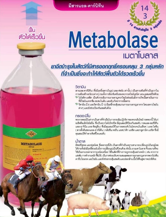 metabolase