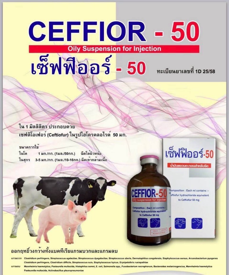 ceffior - 50