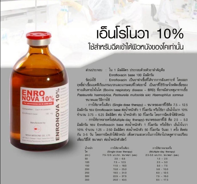 เอ็นโรโนวา 10%