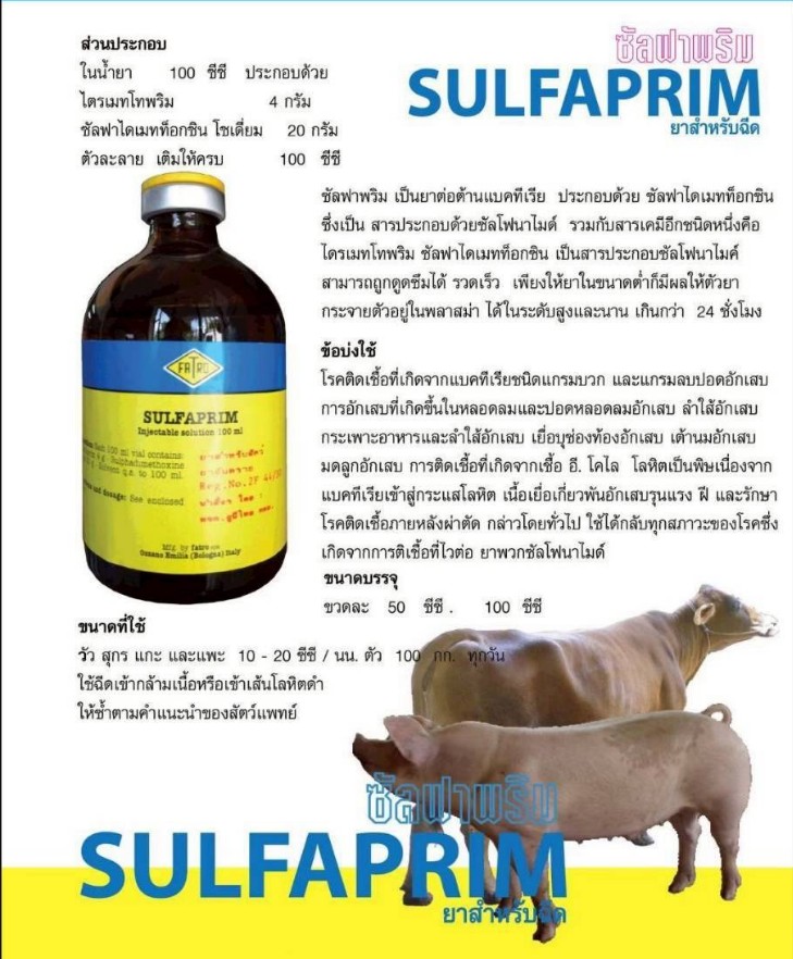 SULFAPRIM
