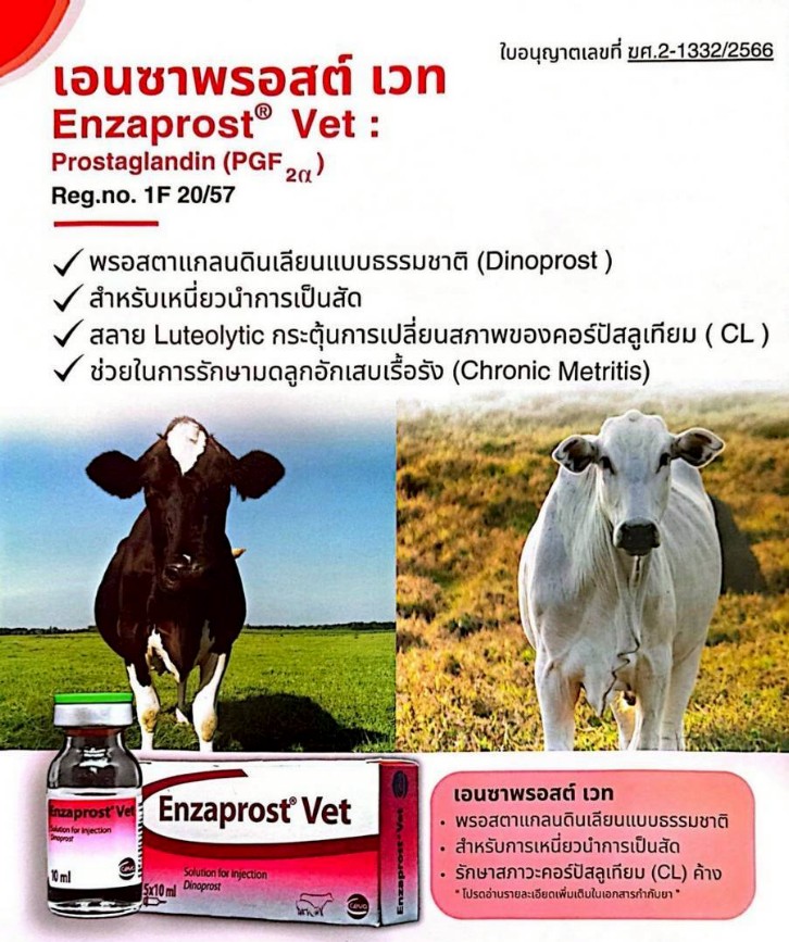 Enzaprost Vet