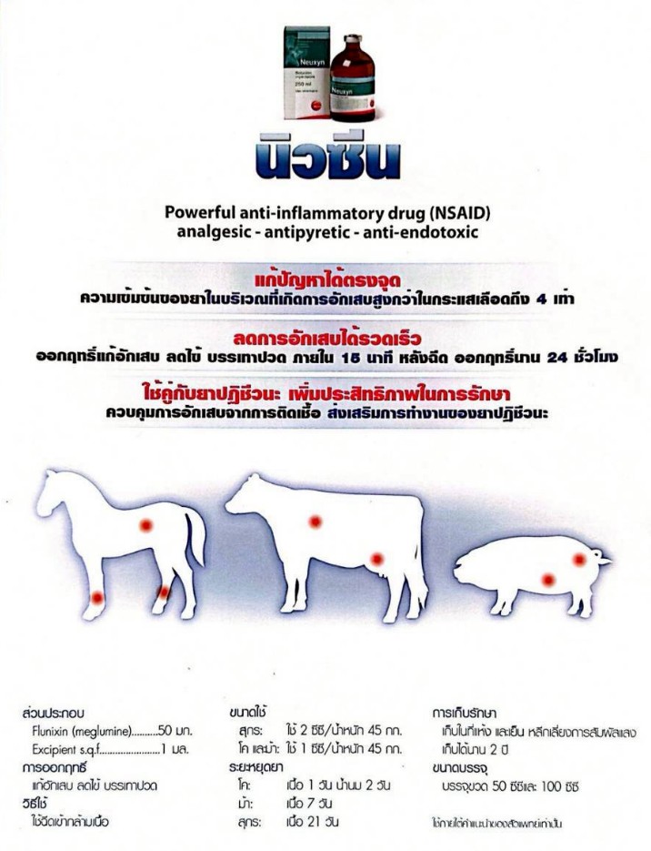 นิวซีน