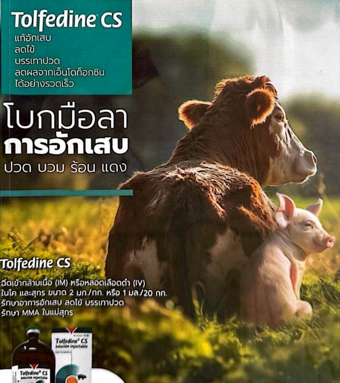 Tolfedine CS
