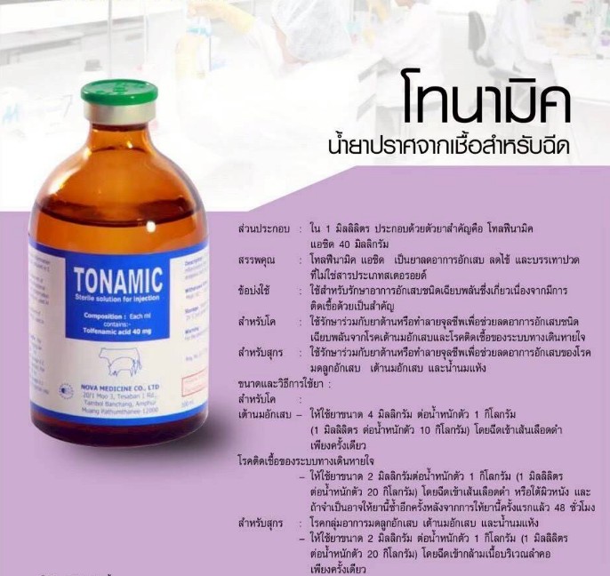 โทนามิค