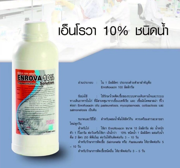 เอ็นโรวา