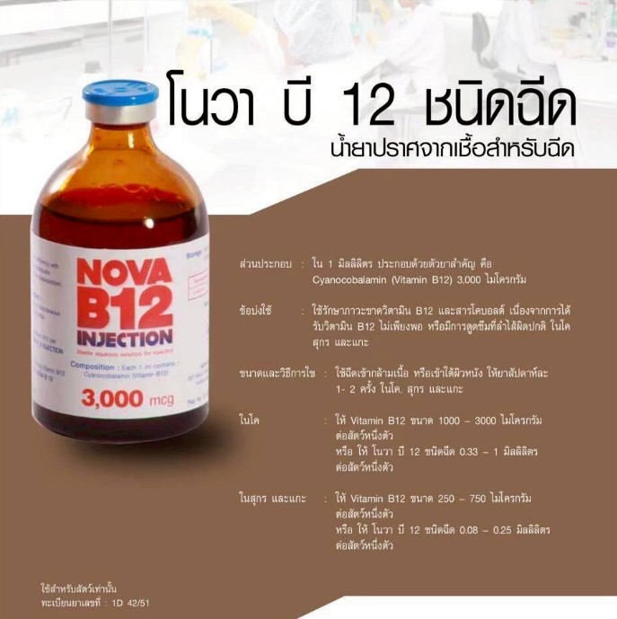 โนวา บี 12