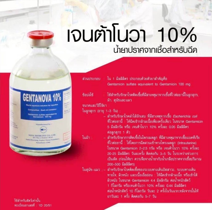 เจนต้าโนวา