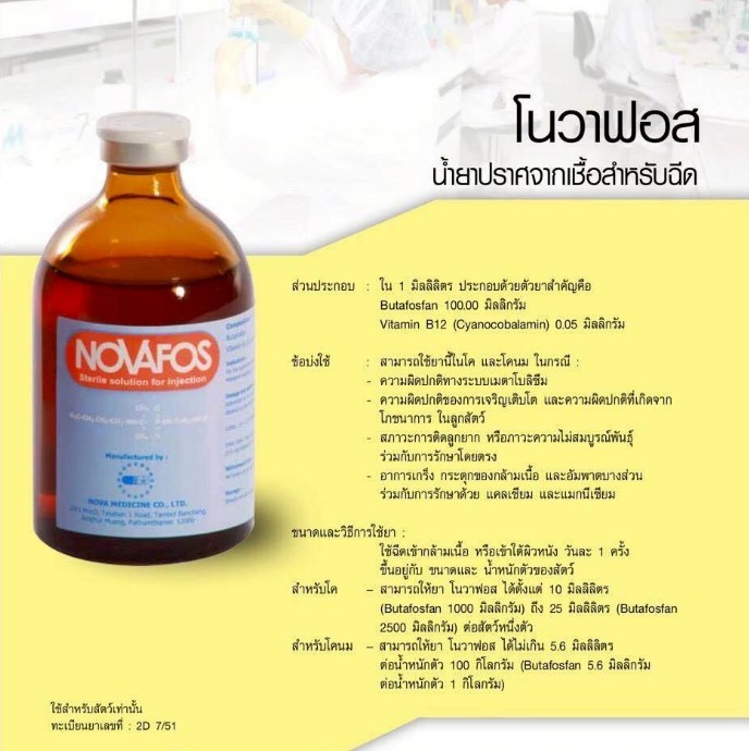 โนวาฟอส