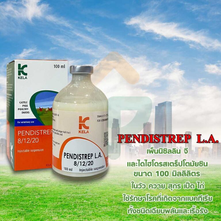 PENDISTREP L.A.