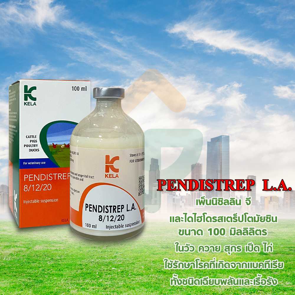 PENDISTREP L.A.